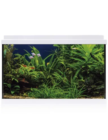 ACUARIO KIT AQUALED 100L VENTA DE ACUARIOS