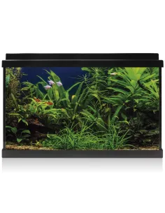 ACUARIO KIT AQUALED 100L VENTA DE ACUARIOS