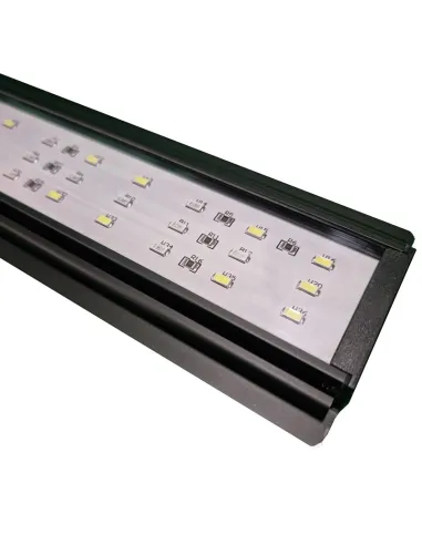 PANTALLA LED ACUARIO DULCE SERIE Z