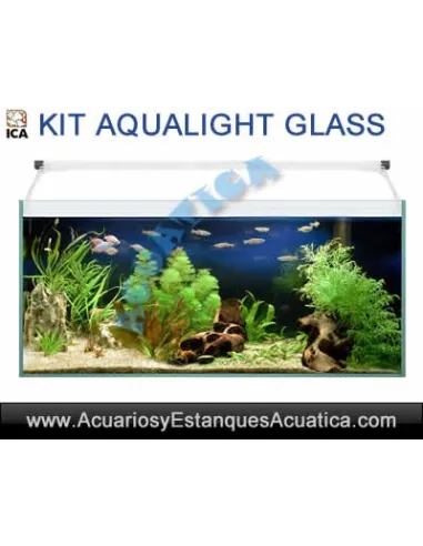 Kit Acuario Aqualight Glass - Acuarios y Estanques