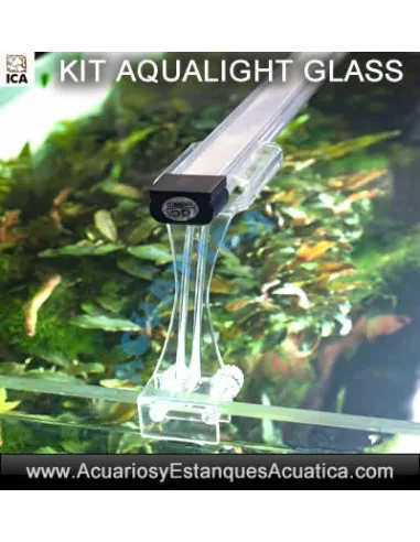 ✅Compra tu Acuario Barato Aqualight Glass - Acuarios y Estanques