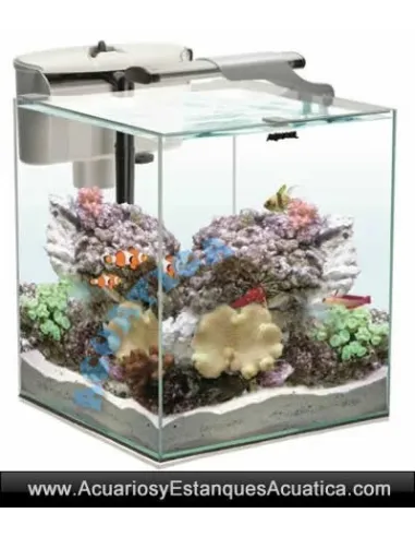 ACUARIO AQUAEL NANO REEF DUO 35