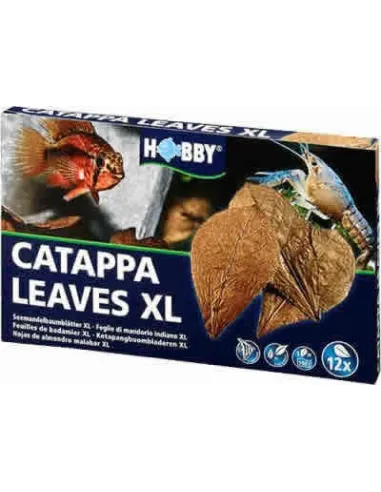 HOBBY HOJAS Y PALITOS DE CATAPPA PARA ACUARIO