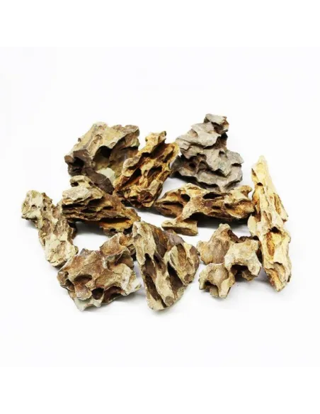ROCA DRAGON NATURAL DECORACION ACUARIOS