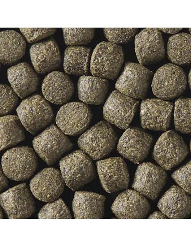 Alimento peces Kinsei Spirulina pellets 6mm estanque