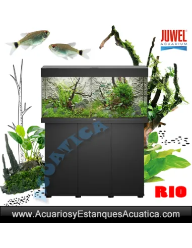 ACUARIO JUWEL RIO 450