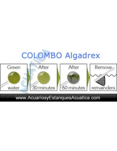 ELIMINA TURBIDEZ ESTANQUE COLOMBO ALGADREX