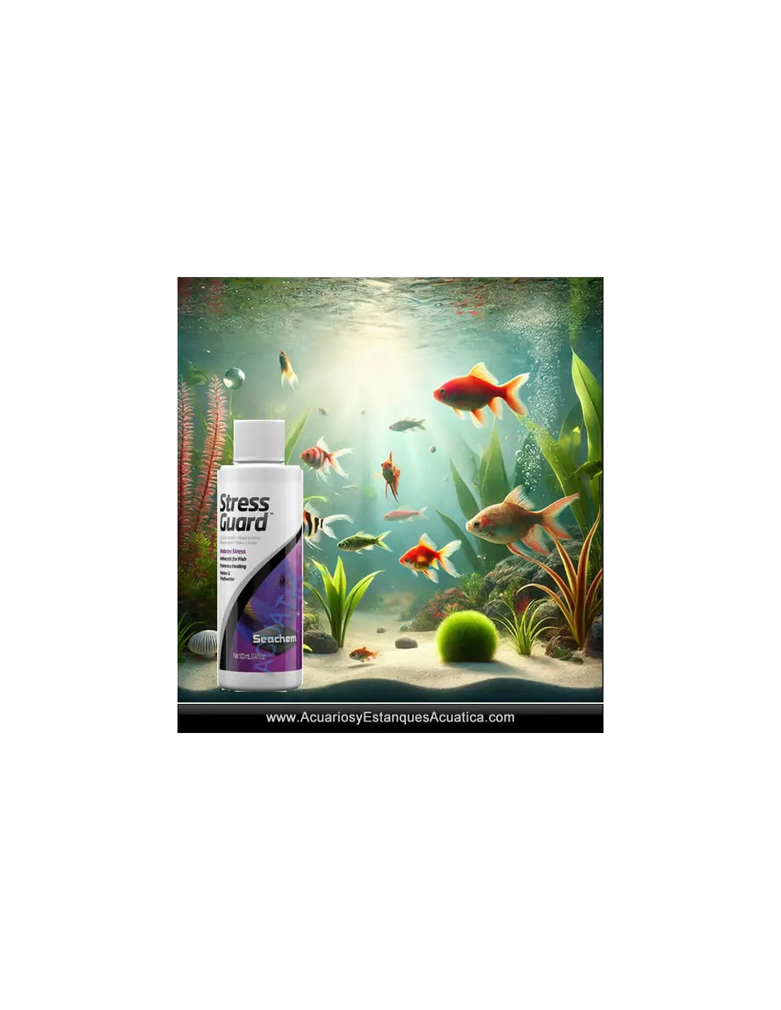 thumbnail image 2 of Seachem StressGuard – Reduces Ammonia, Promotes Healing In Fresh/Saltwater Fish 2 of 3