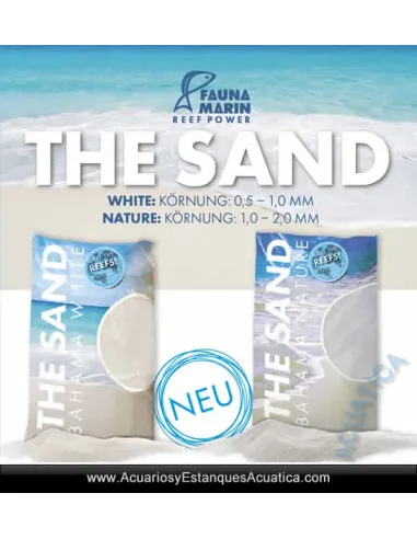 Arena Acuario Marino Fauna Marin Sand Bahamas