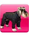 Ropa para perros