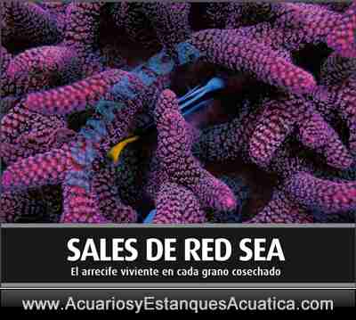 sal-acuario-marino-agua-salada-reef-red-sea-coral-pro-saco-salt-aditivos-arrecife-coral-cubo-6.jpg