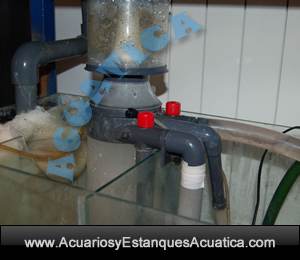 separador-de-urea-con-bomba-dg-2524-boyu-acuario-marino-skimmer-acuarios-salada-externo-2.jpg