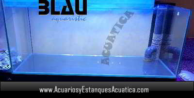 acuario-blau-aquaristic-gran-cubic-540-litros-urna-pecera-cristal-luz-azul.jpg