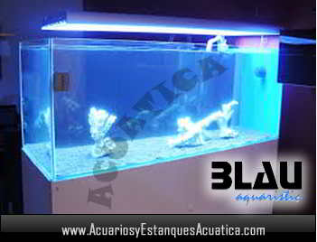 acuario-blau-aquaristic-gran-cubic-540-litros-urna-pecera-cristal-luz-ppal.jpg