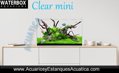 acuario-waterbox-clear-mini-nano-urna-pecera