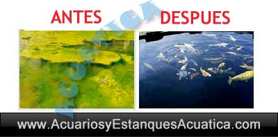 estanque-agua-verde-acuario-algas-ultravioleta-uv-c-clarificador.