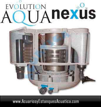 filtro-nexus-310-evolution-aqua-estanque-estanques-filtracion-koi-kois-interno.jpg