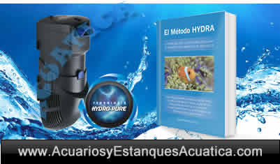 libro-el-metodo-hydra-filtro-acuario-marino-dulce-interior-interno-icasa-gaspar-cabrera-roca-2.jpg