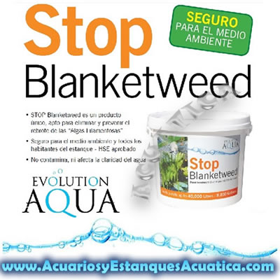 stop-blanketweed-algas-filamentosas-verdes-estanque-flotantes-agua-cristalina-verde-koi-jardin-1.jpg