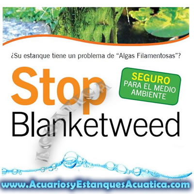 stop-blanketweed-algas-filamentosas-verdes-estanque-flotantes-agua-cristalina-verde-koi-jardin-2.jpg