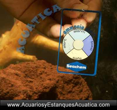 seachem-ammonia-alert-amoniaco-test-alarma-acuario-marino